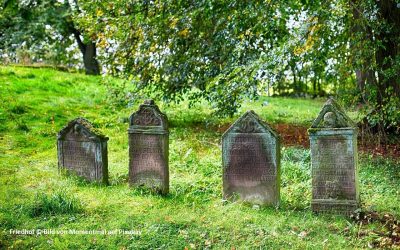 Der Streit um die Toten und das liebe Geld