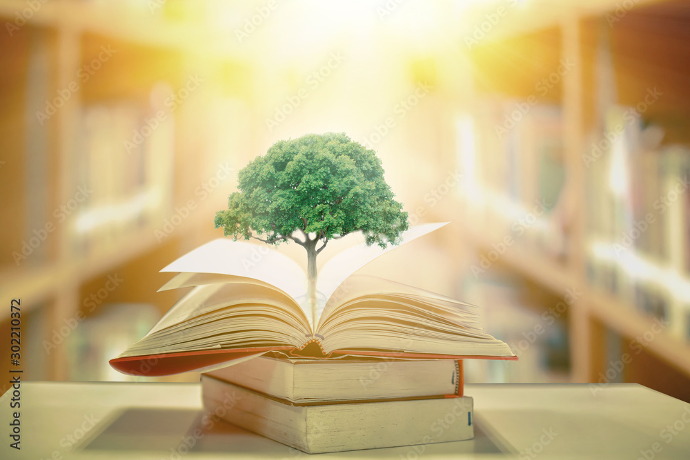 Buch mit Baum