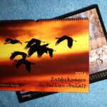 Kalender Peter Ibe 2024