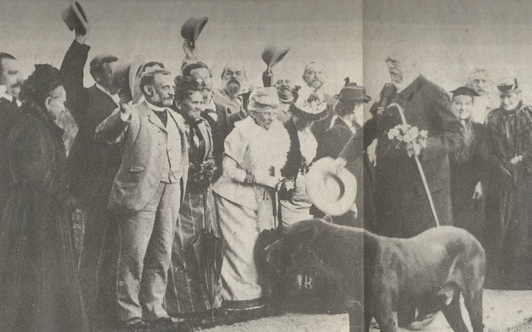 Elbdeiche – Sprungbrett zur Karriere