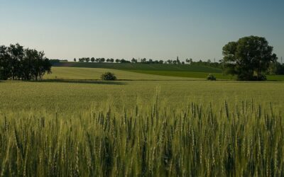 Orte der Erinnerung – Drei Berichte aus der Mitgliederzeitschrift des Volksbundes