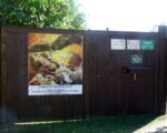 Falknerei Wörlitzer Park